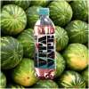 Vitavate Wassermelone 500ml - Vitavate