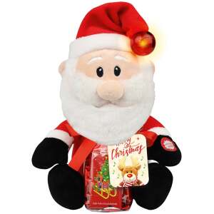 Weihnachts-Plüschfigur Weihnachtsmann mit Schokolade 75g - Sweets